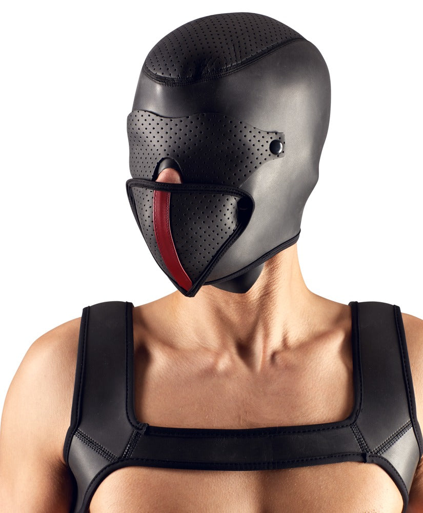 Fetish Collection Harness